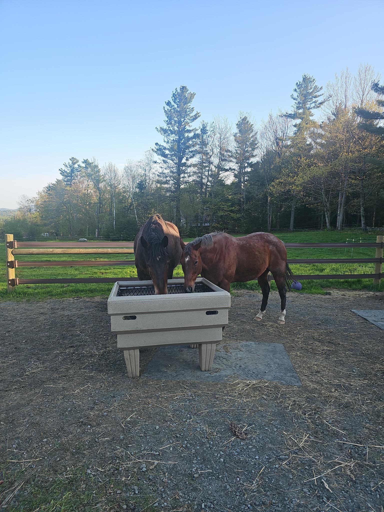 Romeo and Jet together