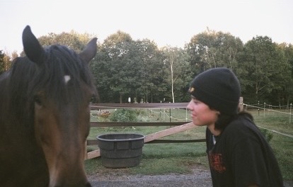 both horses